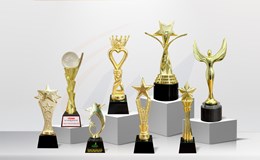 Cúp Kim Loại Vinh Danh – Các Loại Phổ Biến Và Cách Chọn Phù Hợp